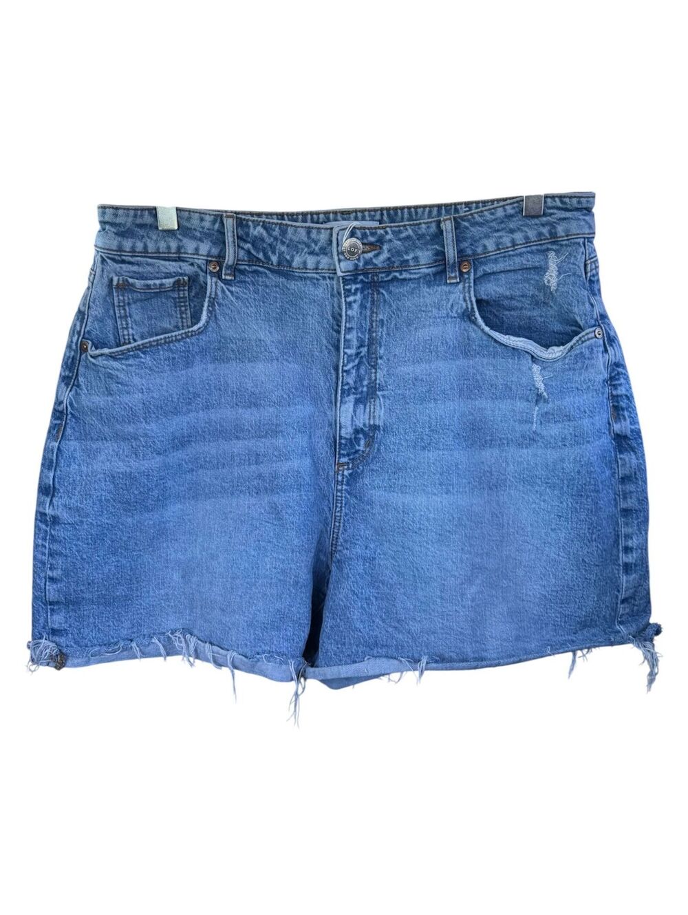 LOFT Jean Shorts Size 14/32